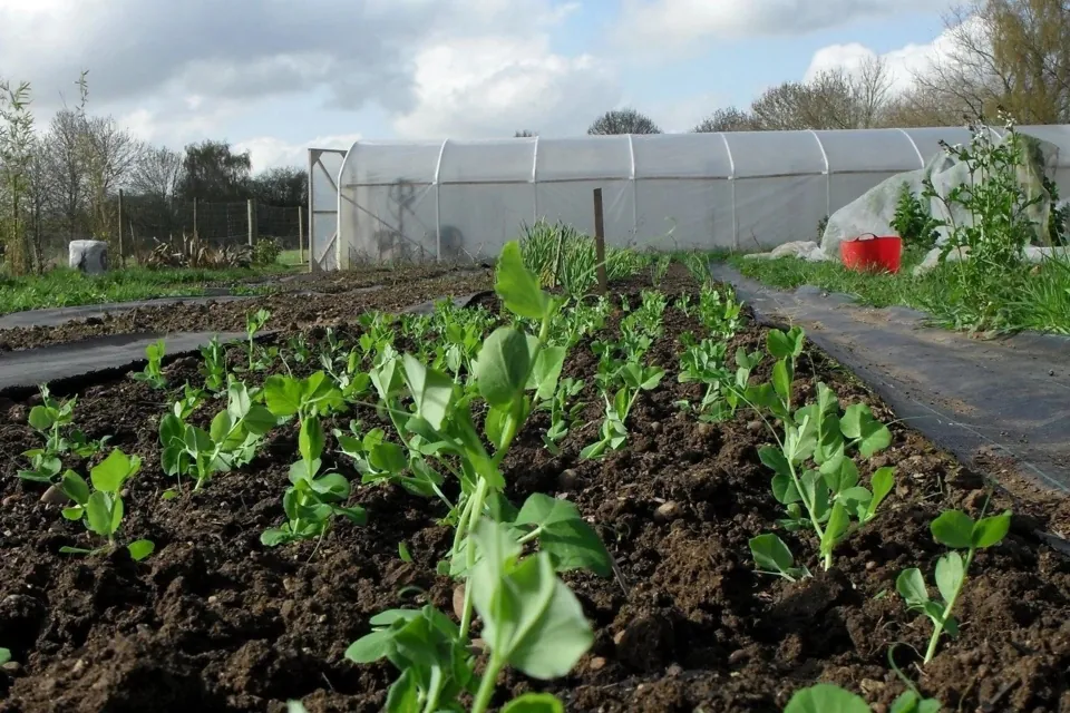 The Market Garden, 4.7 miles from the club