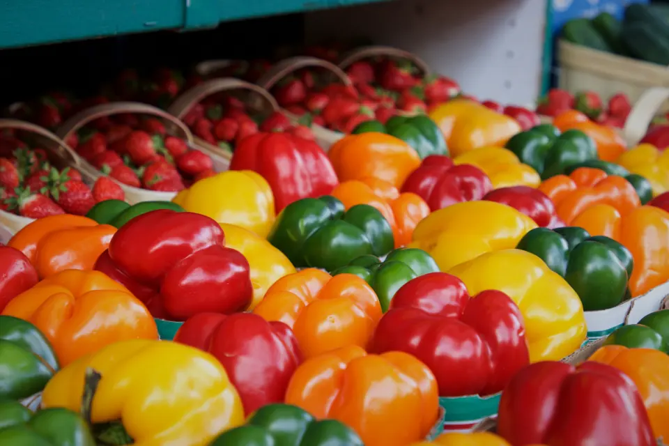 Losing 5kg, the simple habits that last